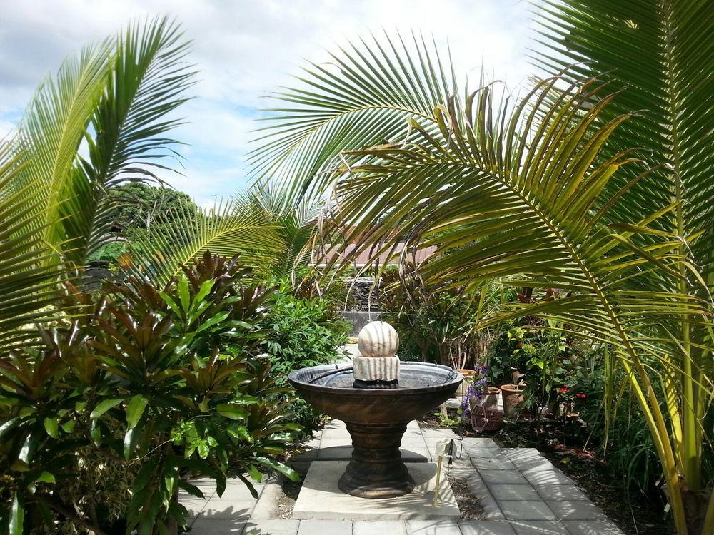 Donchai House Guest House& Cafe Chiang Mai Esterno foto